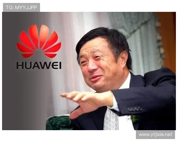 创新引领未来:杰出企业家如何在竞争激烈的市场中脱颖而出