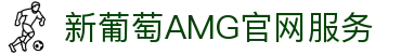 AMG·新葡萄(奔驰)品牌公司-Official website
